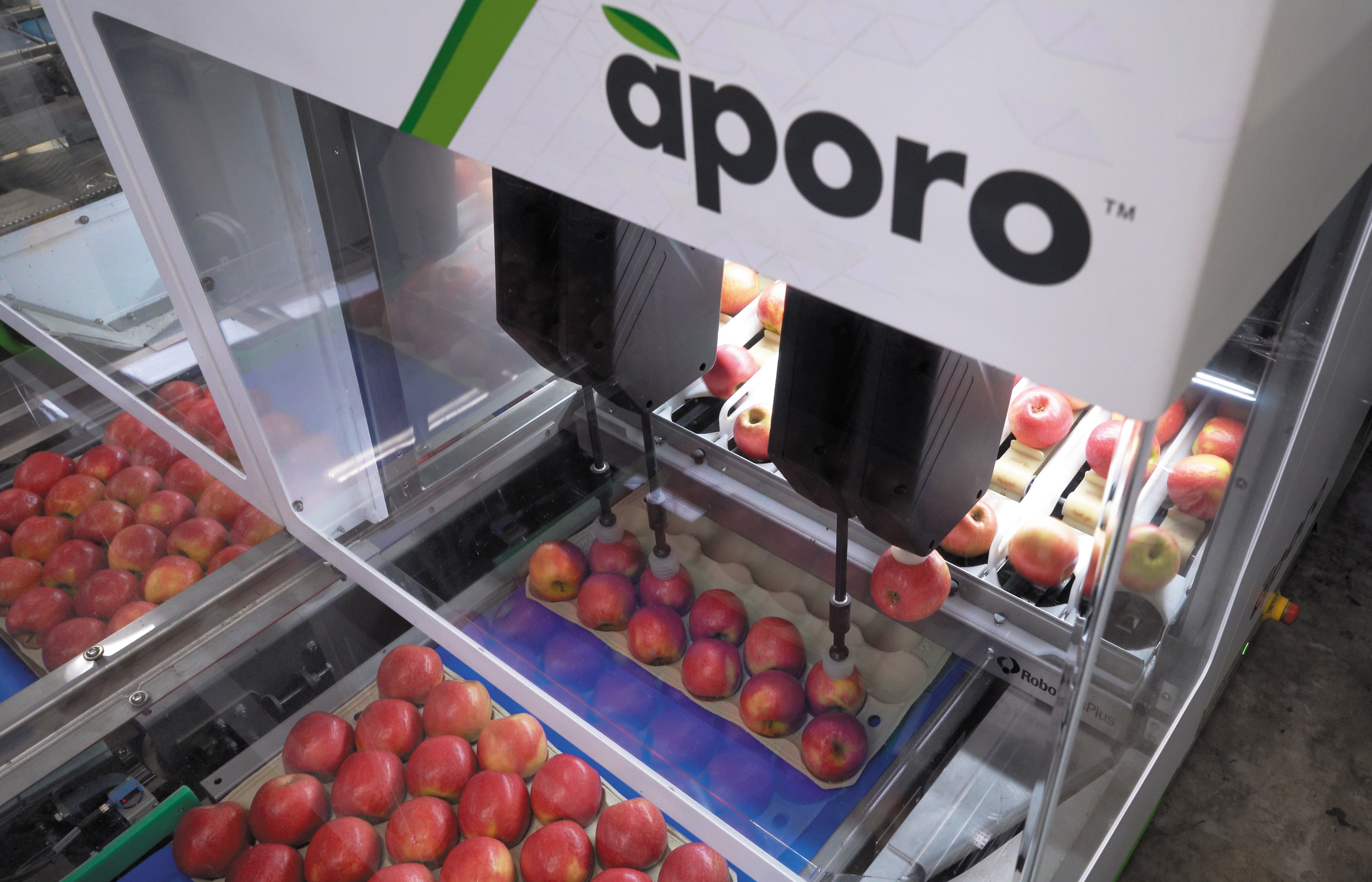 Aporo Apples.jpg